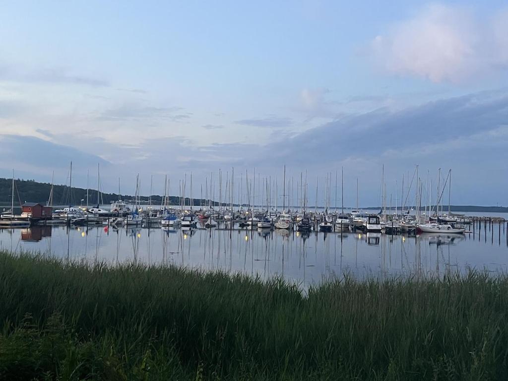 Apartment 'kapitaenslounge' Vollsanierte Mit Blick Auf Flensburger Foerde *