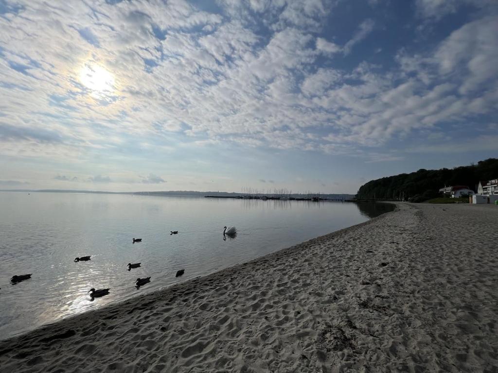 'kapitaenslounge' Vollsanierte Mit Blick Auf Flensburger Foerde Harrislee
